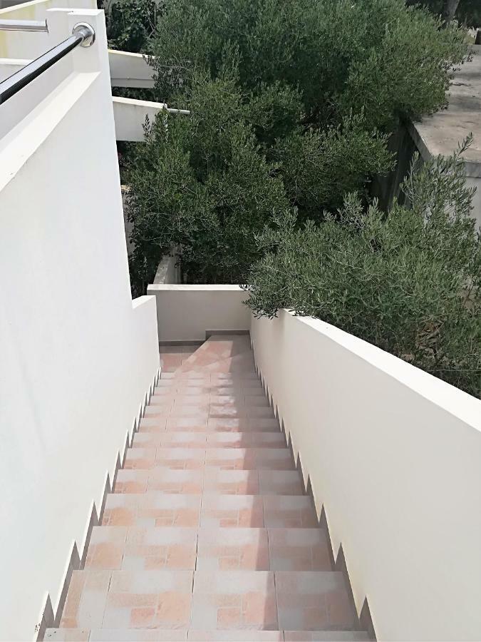 Premuda Apartman Rosanda מראה חיצוני תמונה